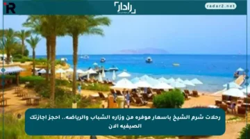 رحلات شرم الشيخ بأسعار موفرة من وزارة الشباب والرياضة.. احجز إجازتك الصيفية الآن